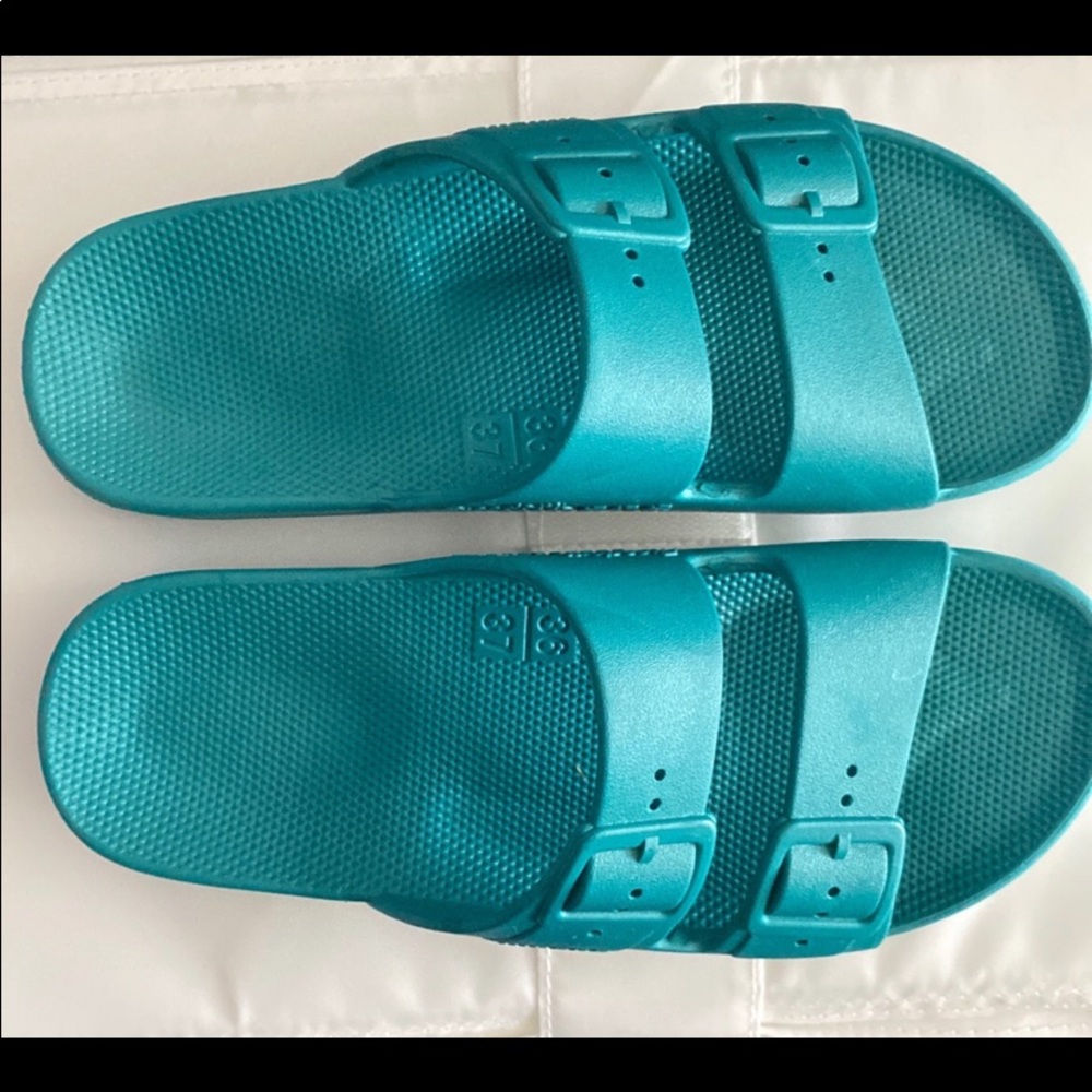 Freedom Moses Slides